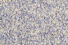 tm246