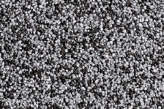 tm254