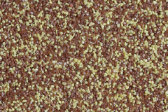 tm257