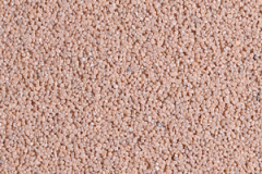 tn229